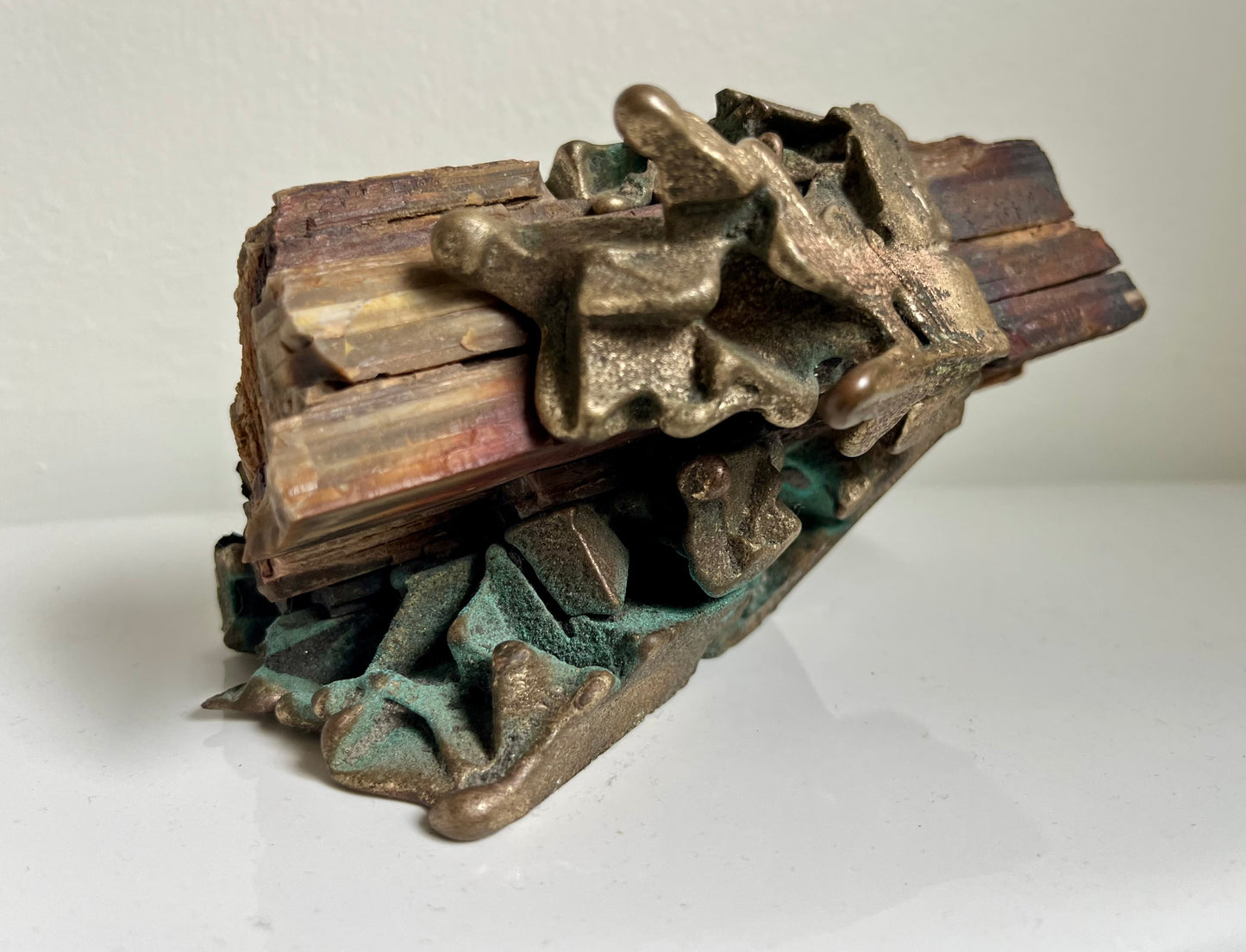 Julie Kumar - Fossilized