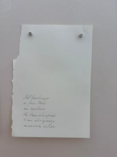 handwritten glimpses of the past