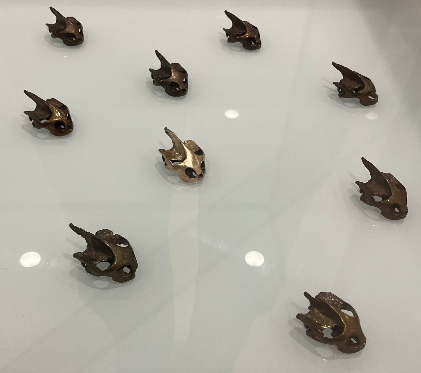 Julie Kumar - Turtle Skulls