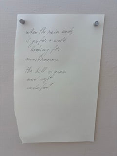 handwritten glimpses of the past