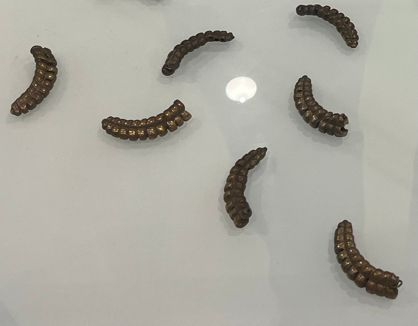 Julie Kumar - Rattlesnake Tails