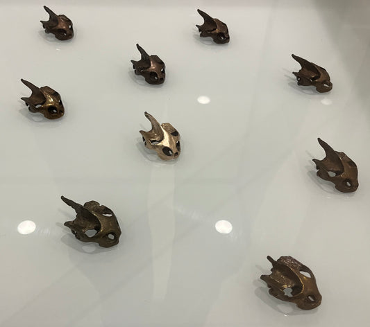 Julie Kumar - Turtle Skulls